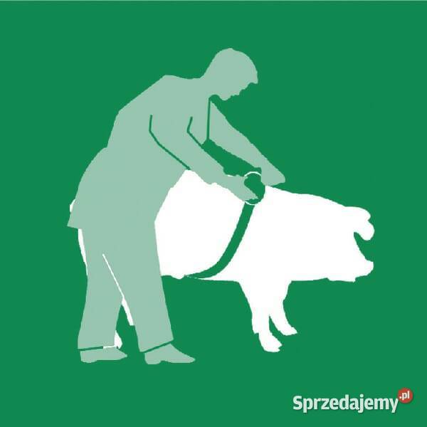 Miara zoometryczna VV2191 Kamionna sprzedam