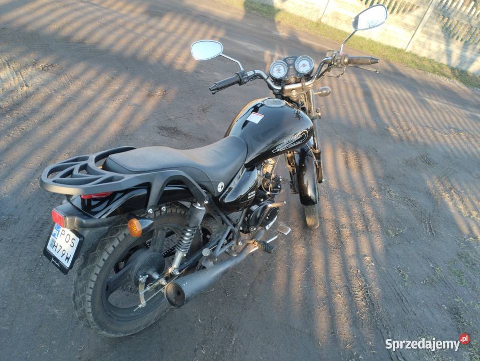 Barton Valentino 5072 wielkopolskie