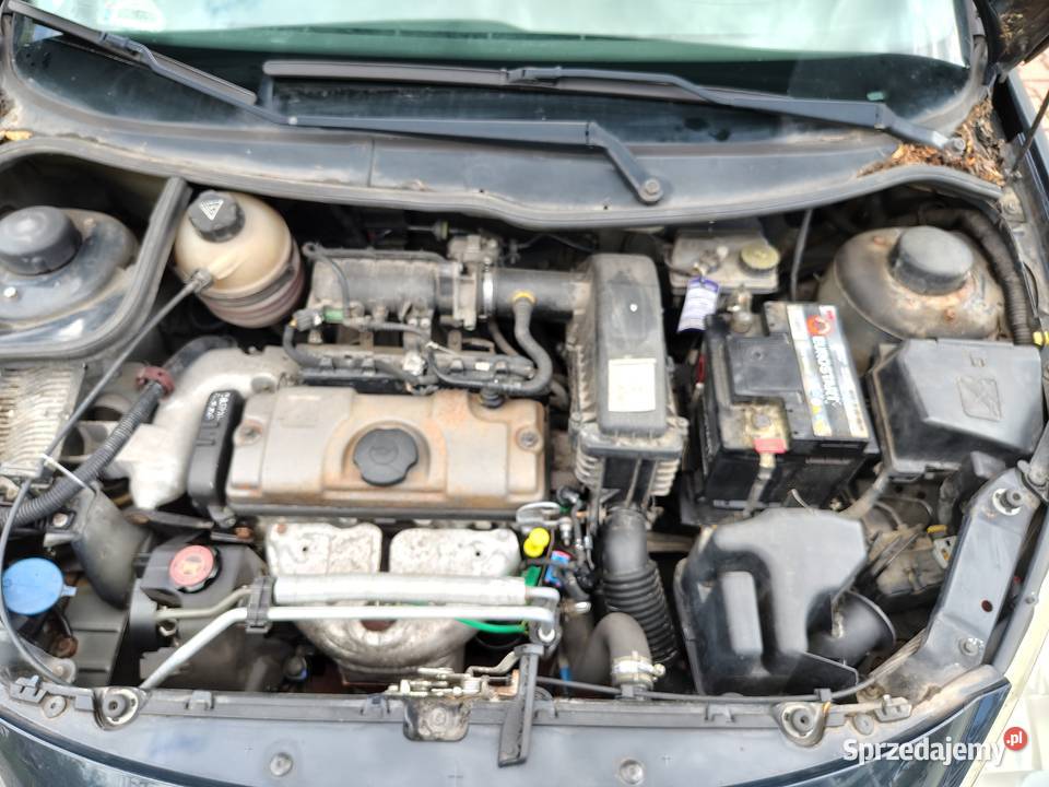 Peugeot 206 Hatchback Zielona Góra