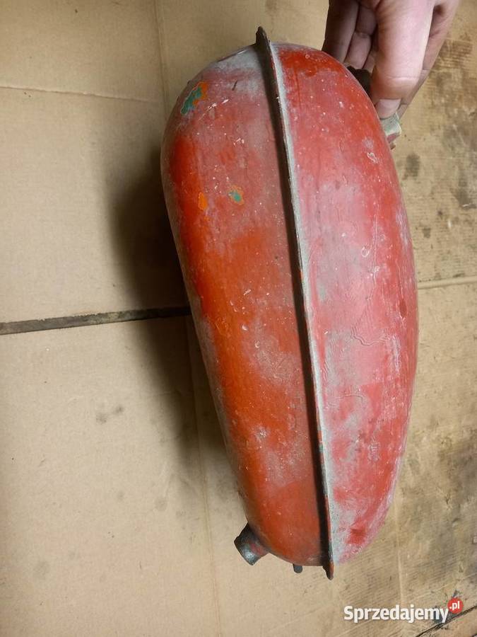 Bak komar sztywniak Sokołów Podlaski