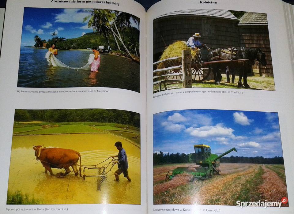 Aktualizacje Encyklopedyczne Życie Tom 3 Chełm