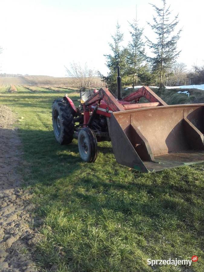 Massey ferguson z turem Massey Ferguson Klimusin
