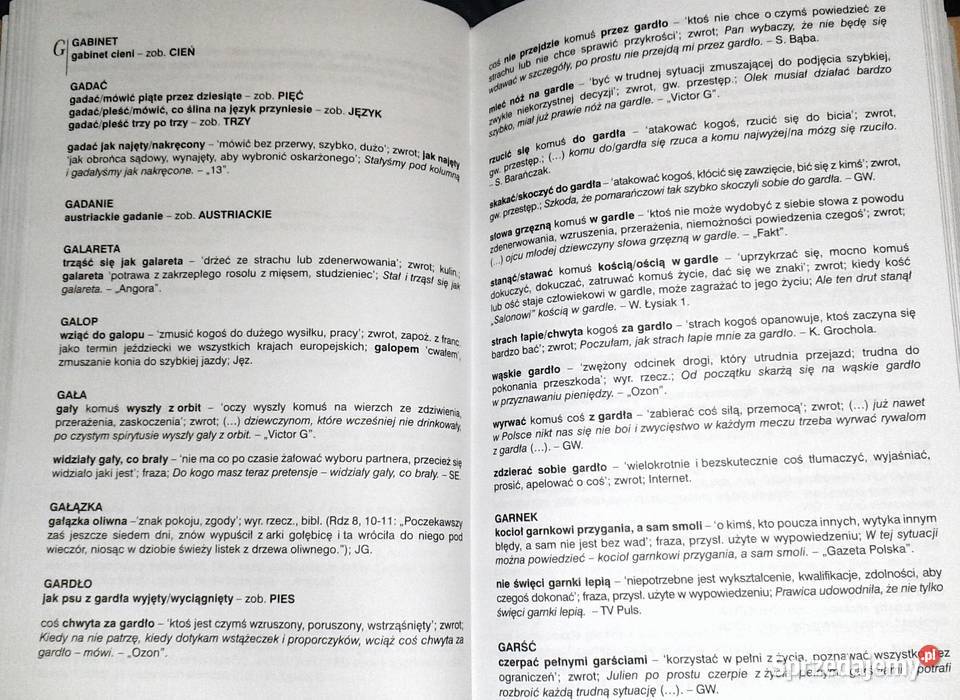 Słownik frazeologiczny języka polskiego D Chełm