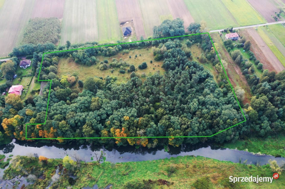 Wyjątkowa nieruchomość inwestycyjna 445 ha z Lipie