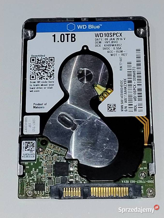 Dysk ssd 25 Cala Slim WD10SPCX o pjemności 1TB Witnica