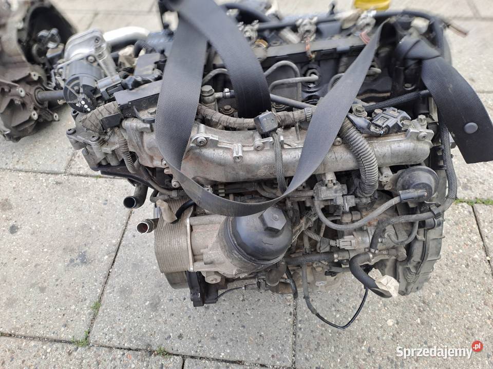 Opel Astra 17 CDTi silnik kompletny kod A17DTR Jastrzębie-Zdrój sprzedam