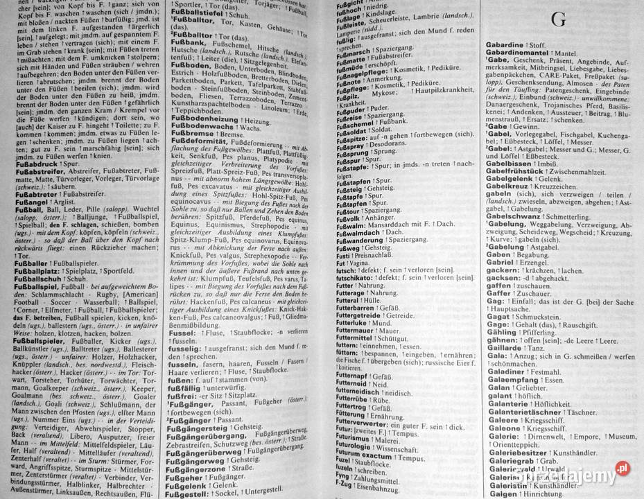 Duden Die sinnund sachverwandten Worter Wolfgang Chełm sprzedam