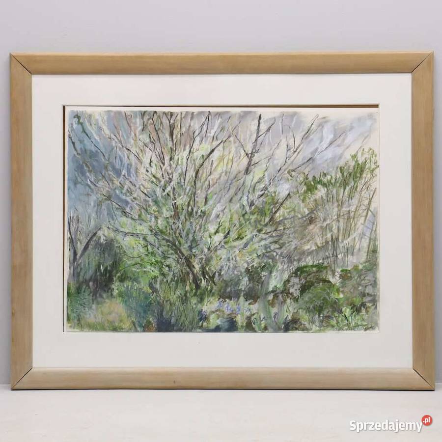 Akwarela artystki Jacquie Turner Anglia natura wielkopolskie Piła