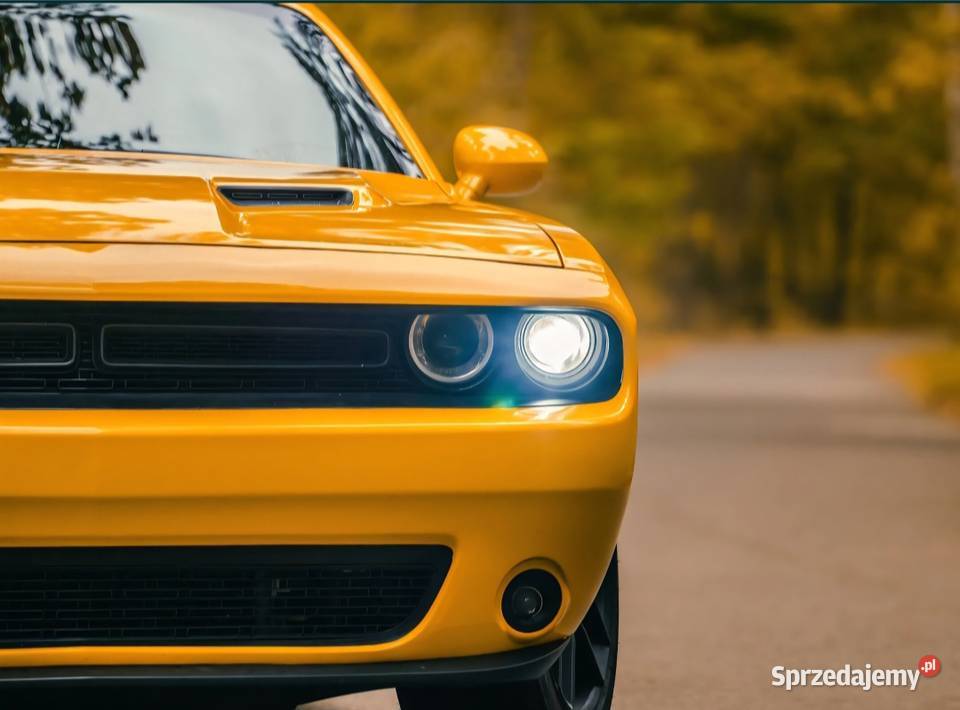 Dodge Challenger 36 stan Motoryzacja Wołomin