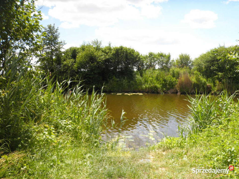 Ogłoszenie działka Ostrowiec rekreacyjna