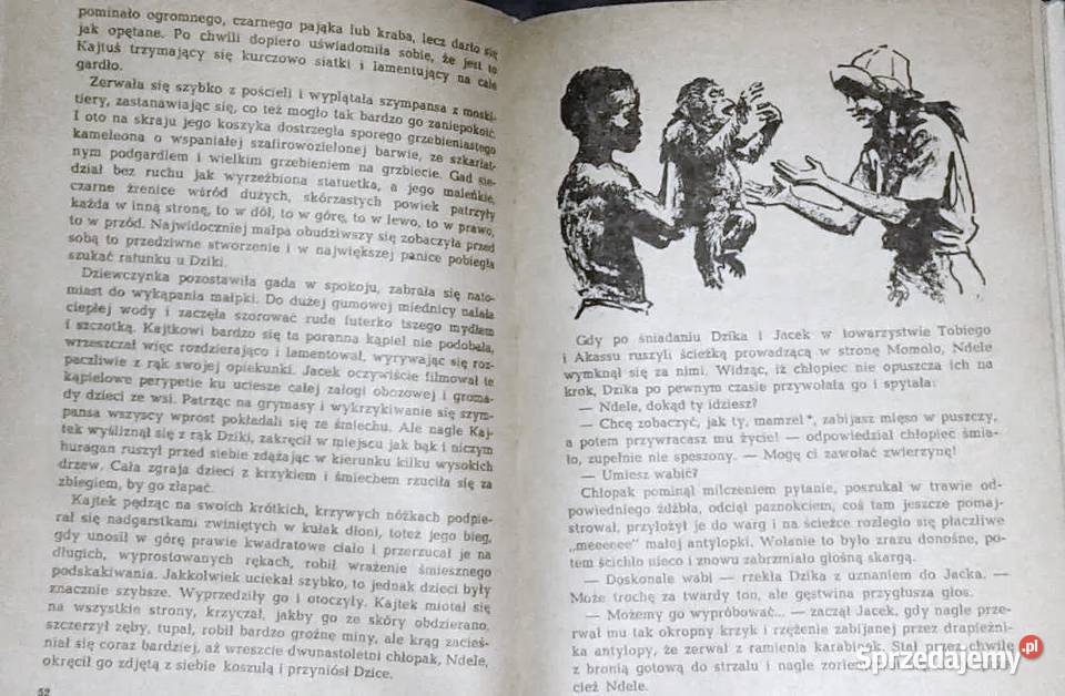 W puszczach i sawannach Kamerunu Kamil Giżycki twarda Chełm sprzedam