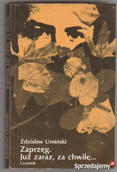 7604 ZAPRZĘG JUŻ ZARAZ CHWILĘ ZDZISŁAW UMIŃSKI literatura piękna - proza polska Czyrna