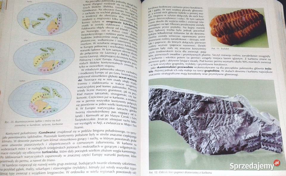 Geografia fizyczna Podręcznik Zakres rozszerzony lubelskie Chełm