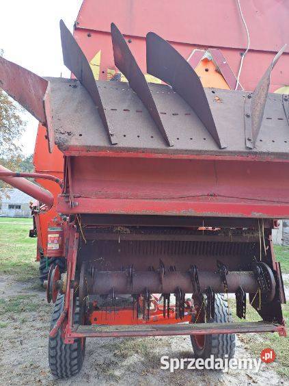 SPRZEDAM BIZON REKODR Z0581