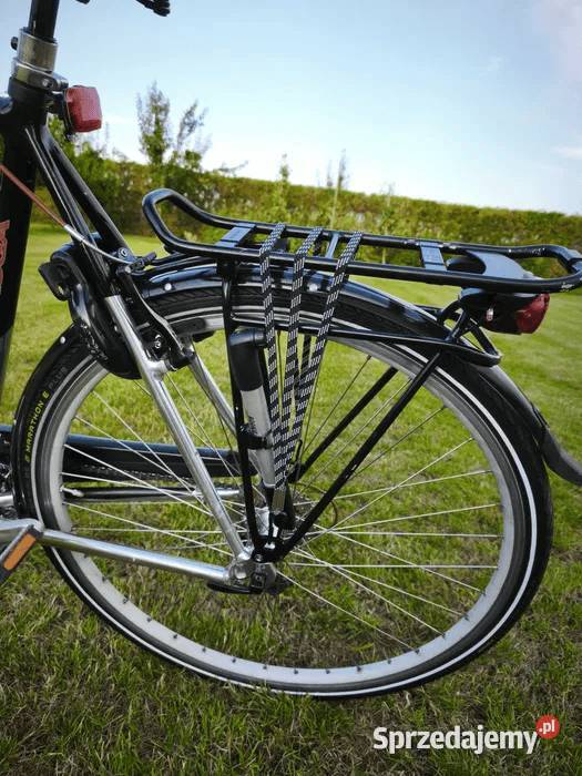 Koga Miyata Prominence Chełmno