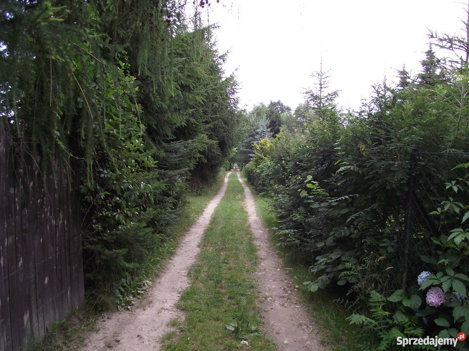 Domek jeziorem Piaseczno Lublin