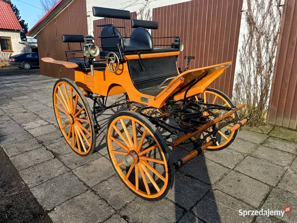 Bryczka Konna typ Sport Break Powóz łódzkie Dobroń sprzedam
