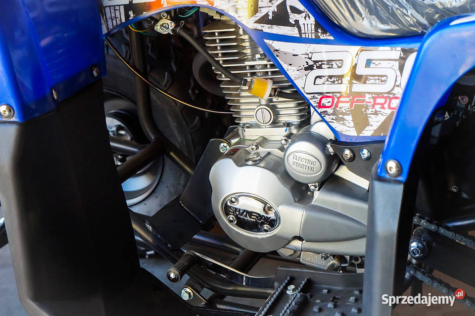 QUAD ATV BSHERCULES 250cc MANUAL HAK LED Ząbkowice Śląskie