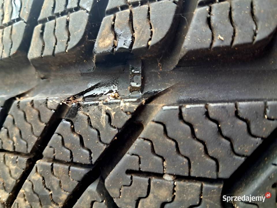 Opony zimowe Pirelli 2454519 Grudziądz