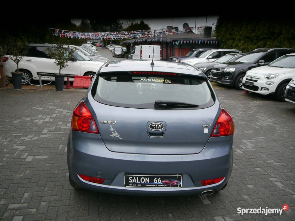 Kia Pro Ceed 16d Stan b bez rdzy korozji aluminiowe felgi śląskie sprzedam