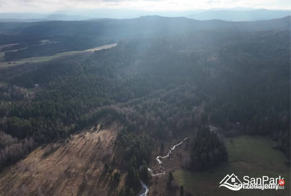 Działka Czarna 11400m2