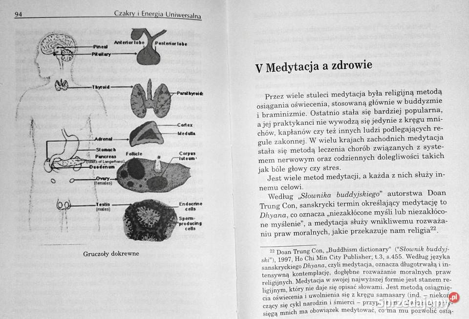 Energia uniwersalna Luong Minh Dang miękka Chełm