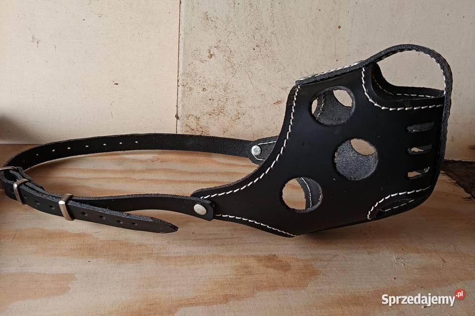Kaganiec psa skórzany zabudowany Jastrowie