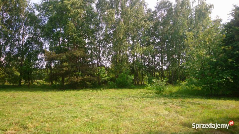 Działka 4828m2 Wkrą pozw na budowę ogrodzenie