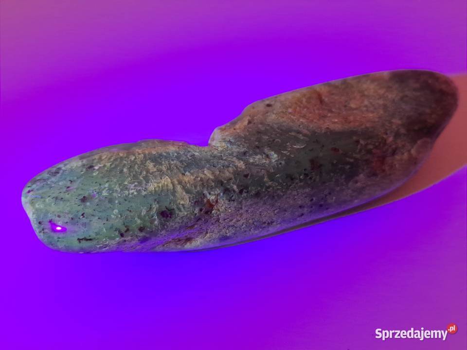 Broszka z bursztynu bursztyn bryłka 1492 Warszawa