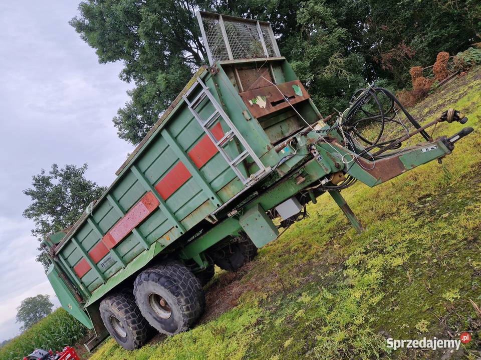 Rozrzutnik bergmann zachodniopomorskie Pyrzyce