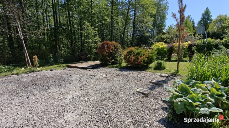 Działka ROD Biała Brzoza mazowieckie Wola Prażmowska