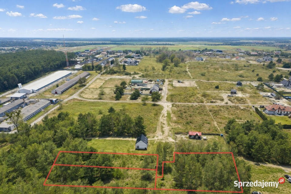 Działka budowlana ścianie lasu budowlana