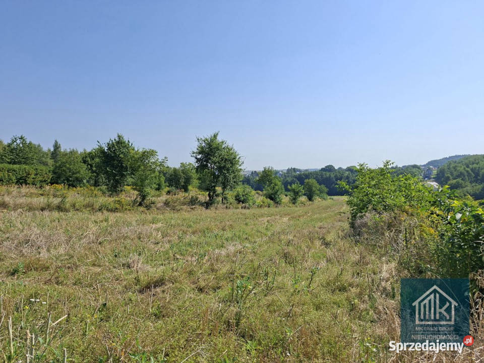 Grunt 5890m2 Bodzanów małopolskie sprzedam