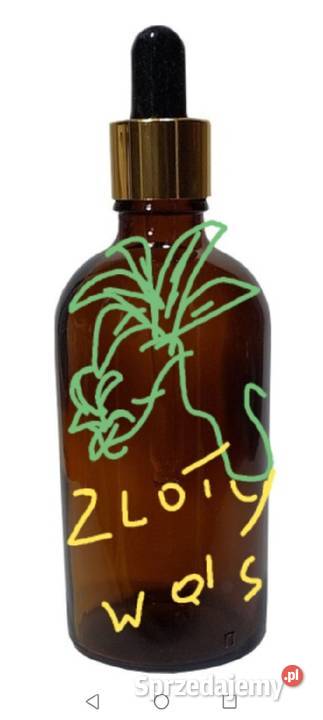 złoty wąs podlaskie Białystok