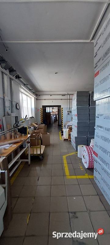 Syndyk sprzeda Zakład Produkcyjny WGnatowski w