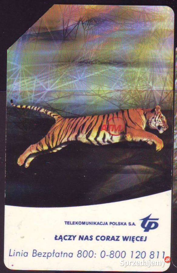 Kart telef Tygrys Bóbr Gliwice sprzedam