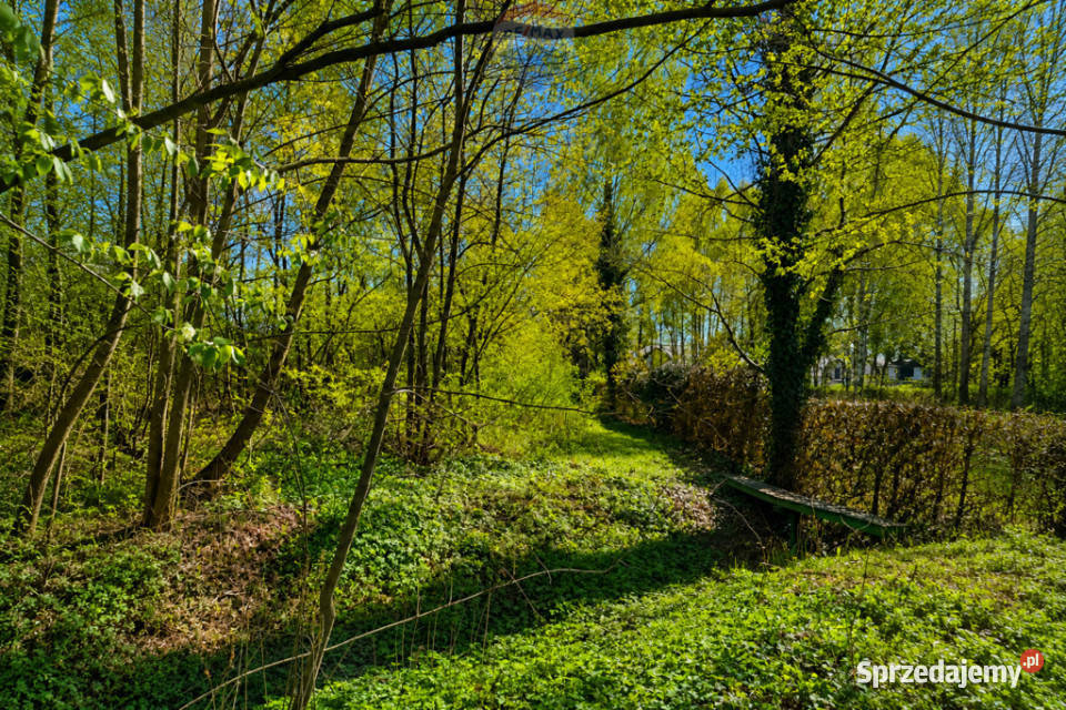 WYJĄTKOWA DZIAŁKA Z WZ 3204 m2 GRABÓW PILICĄ Grabów nad Pilicą