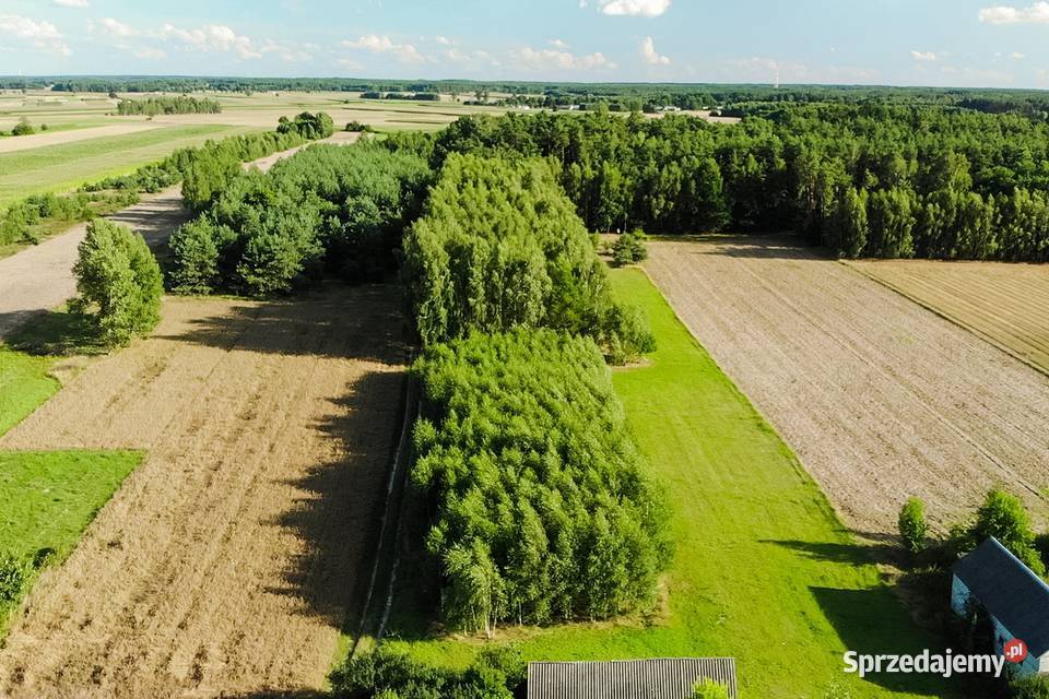Działka budowlana 1700m Dębe Kosów Lacki