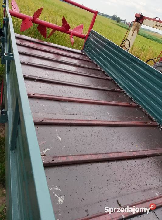 Roztrząsacz podlaskie Augustów