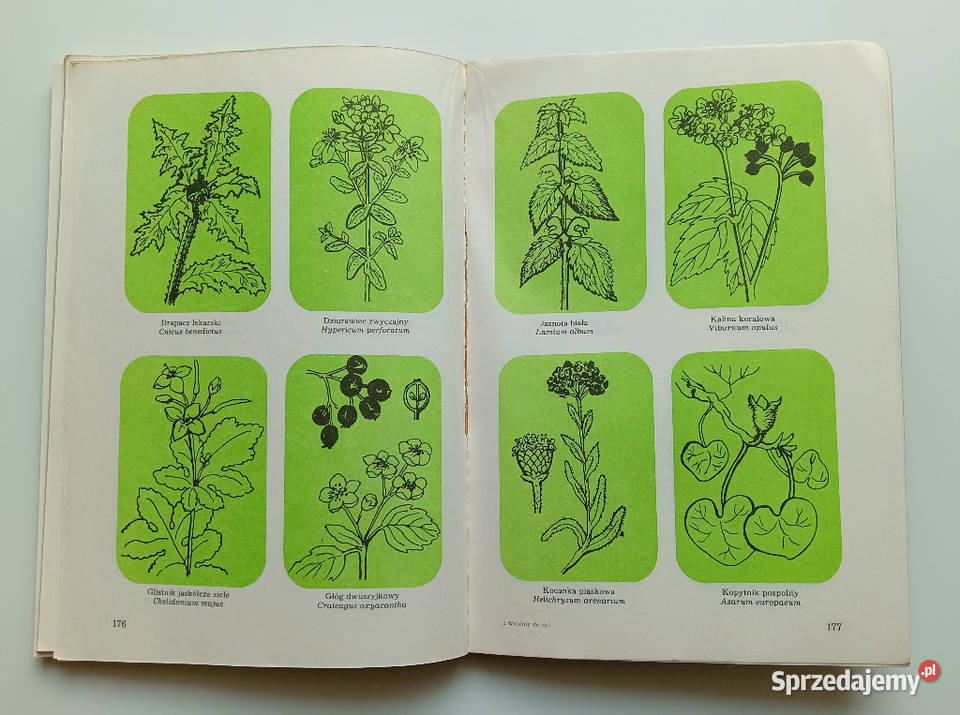 WRÓĆMY DO ZIÓŁ Klimuszko zdrowie, pierwsza pomoc kujawsko-pomorskie Osięciny