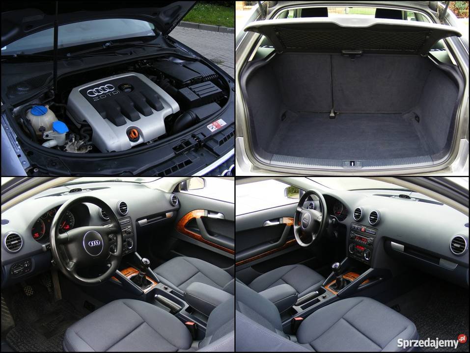 Audi A3 8P 140 PARKTRONIC DREWNO TEMPOMAT KLIMA immobilizer A3 Grodków