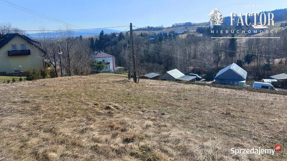 Działka budowlana 1667 ara w Bieśniku 1186S2026 Bieśnik