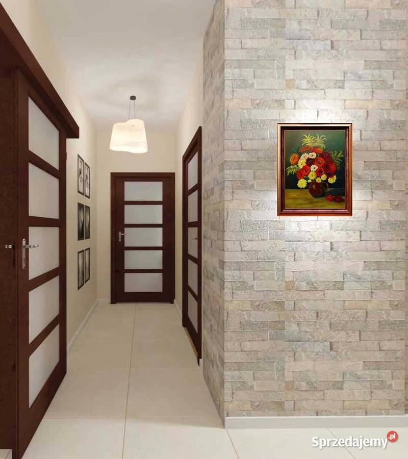 Obraz Cynie wielokolorowy Lublin sprzedam