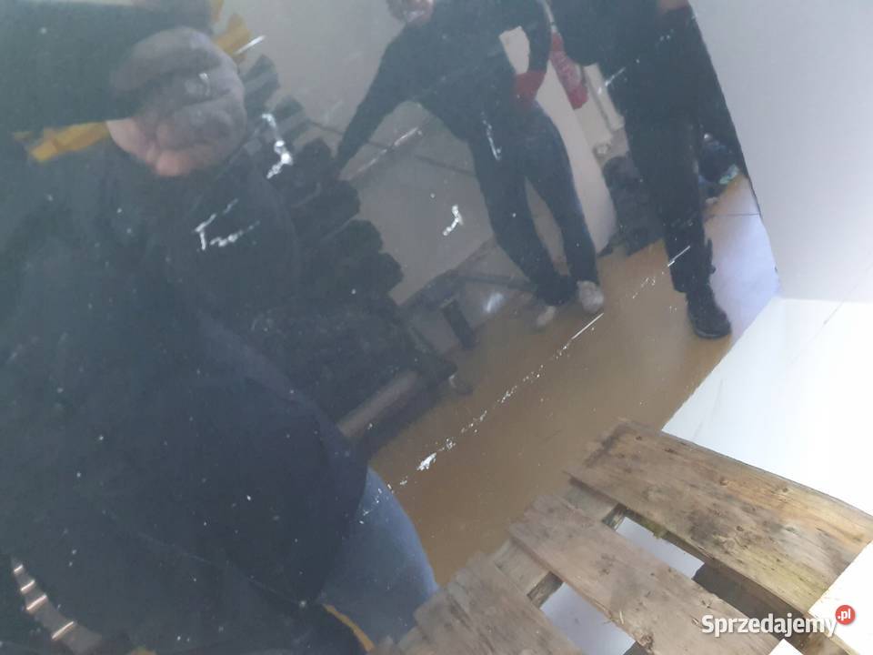 PRZEDNIA MASKA Audi A5 8T 20082012 pokrywa Chełm