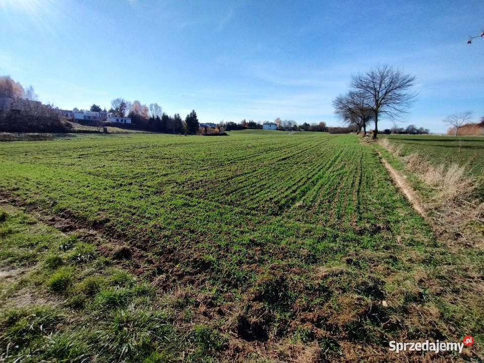 Działka 1436 metrów Snopków 24m