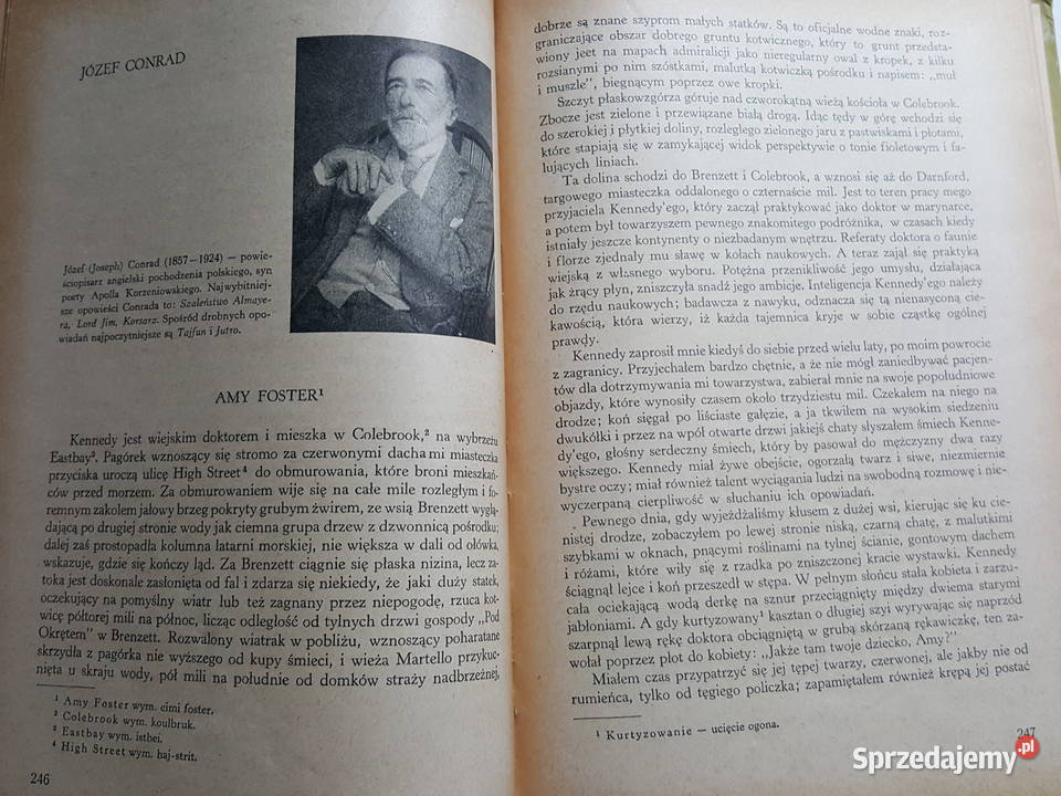KSIĄŻKA Wypisy z literatury powszechnej L wielkopolskie