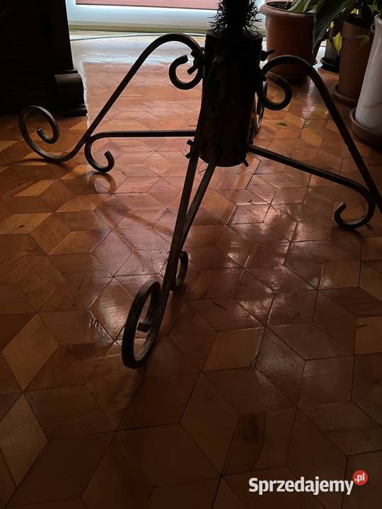 Choinka duża piękna Nisko