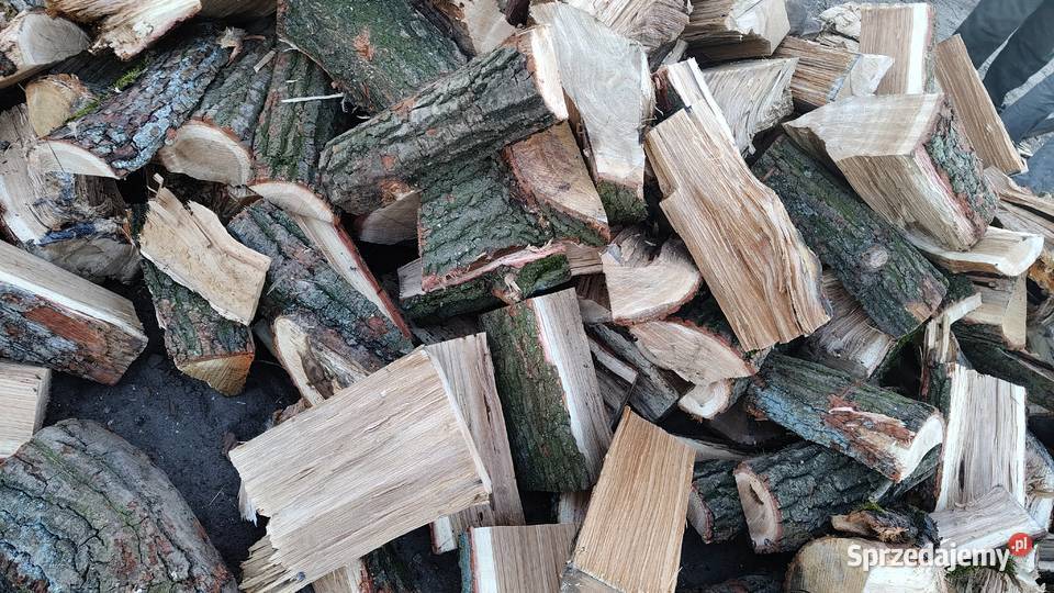 Drewno kominkowe Turek