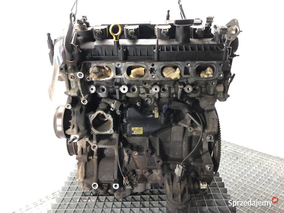 SILNIK FORD 20 162 CS170AB FOCUS III sprzedam