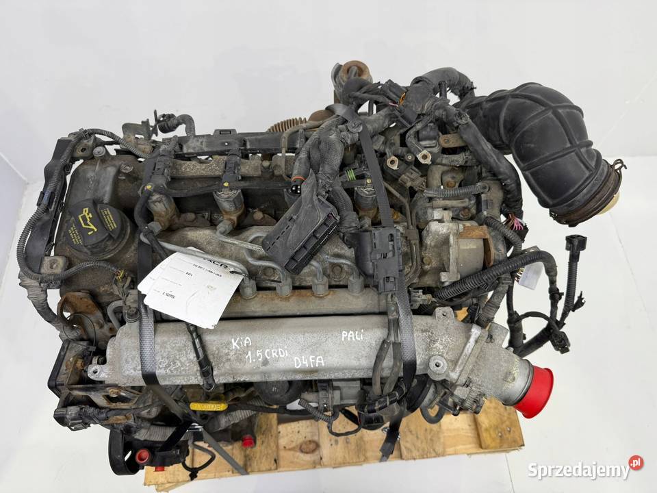 SILNIK D4FA Hyundai Accent III Getz Matrix 14 Chełm